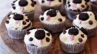 puppy cupcakes